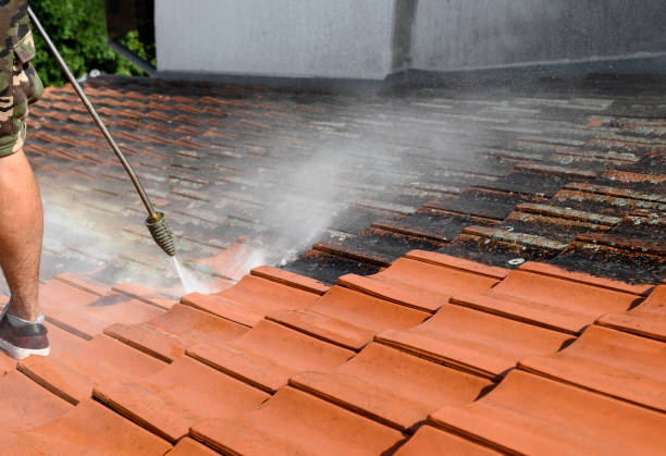 Best Concrete Pressure Washing  in Hutto, TX